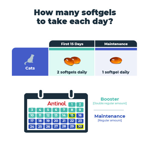 Antinol<sup>®</sup>️ for Cats