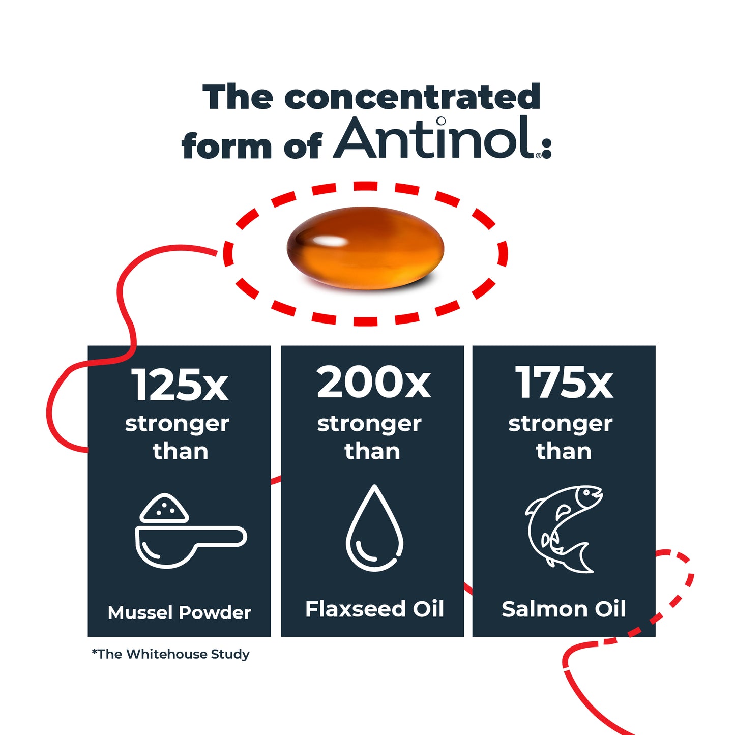 Antinol Starter Kit Large Dog