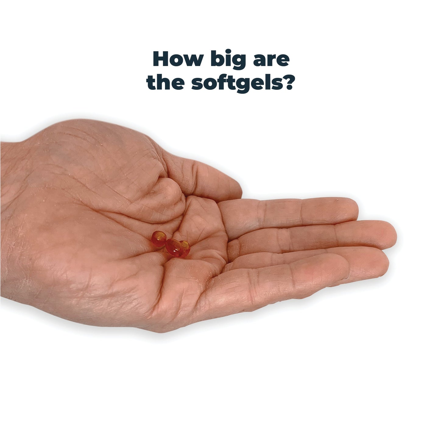 Antinol<sup>®</sup>️ for Cats