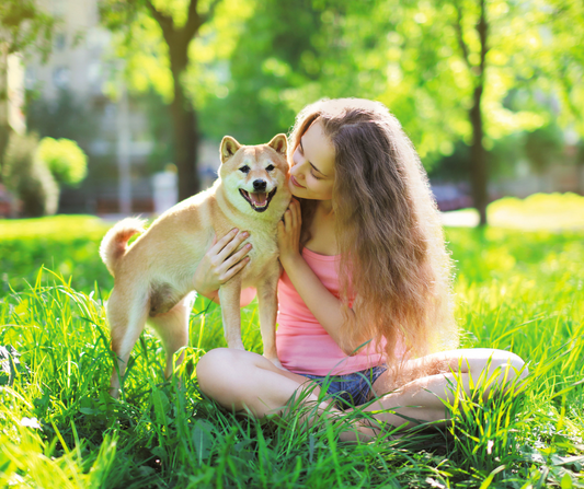 5 Ways To Celebrate (and Spoil) Your Dog or Cat for National Pet Day!