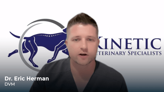 Dr. Eric Herman DVM