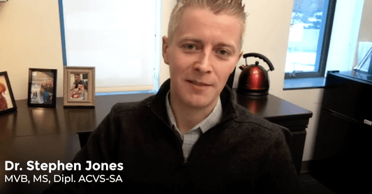 Dr. Stephen Jones MVB, MS, Dipl. ACVS-SA