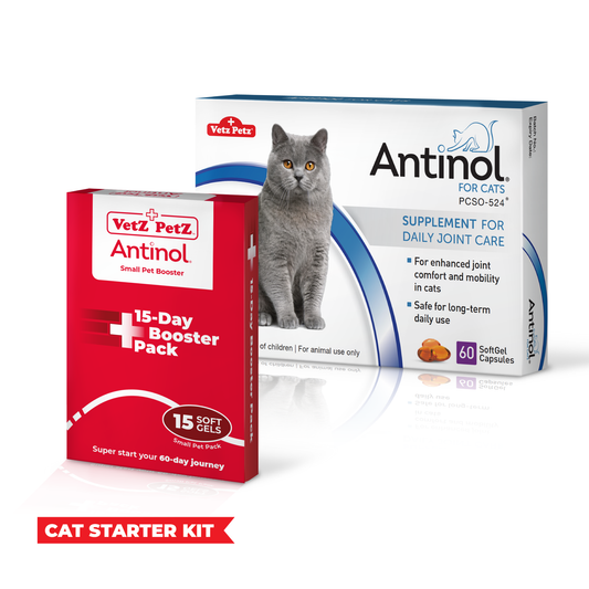 Antinol Starter Kit Cat