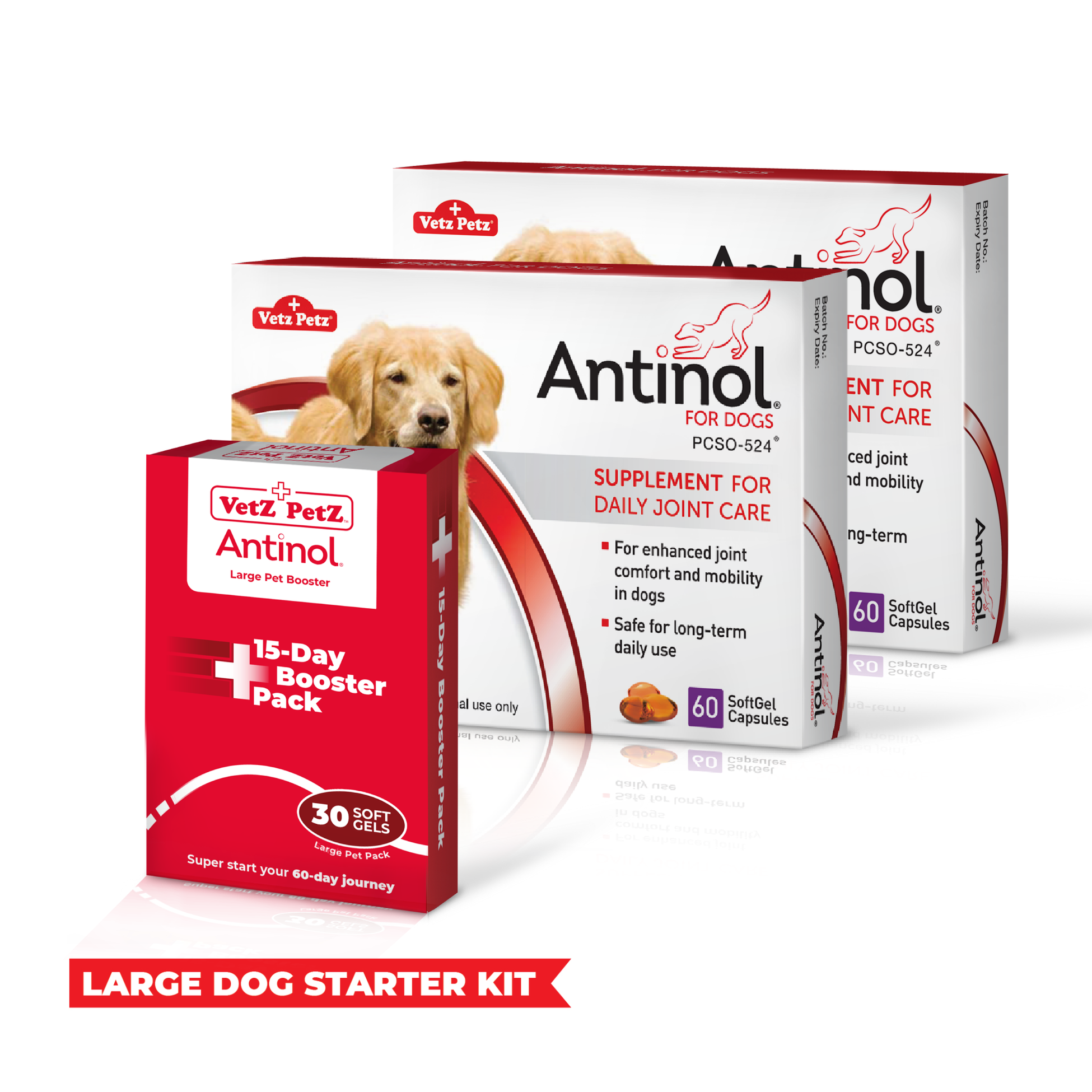 Antinol Starter Kit Large Dog