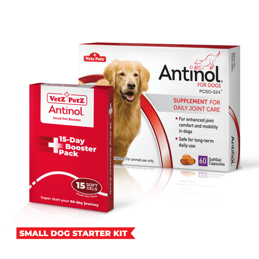 Antinol Starter Kit Small Dog